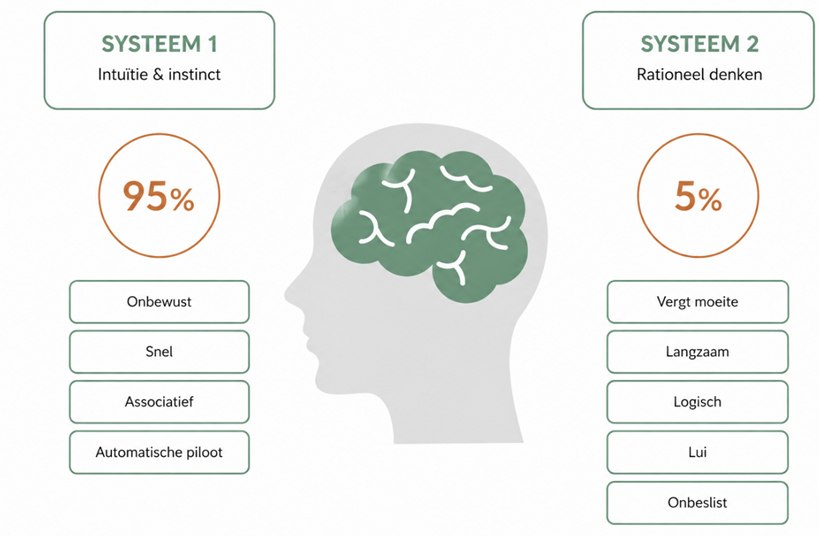 Schema naar Daniel Kahneman: cognitieve belasting en het zwaarder wegen van mogelijke verliezen